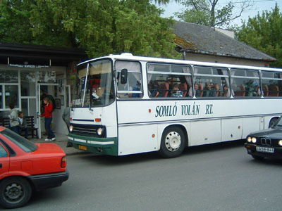 Busz